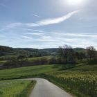 Frühling bei Brensbach/Odenwald I