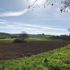 Frühling bei Brensbach/Odenwald II