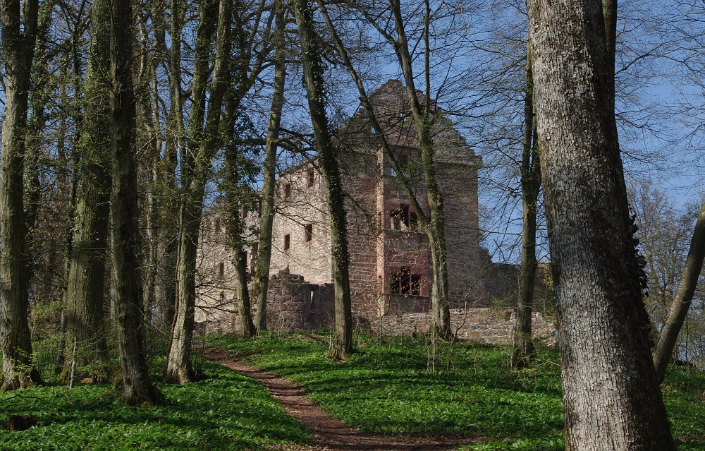 Frühling bei der Minneburg