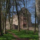 Frühling bei der Minneburg