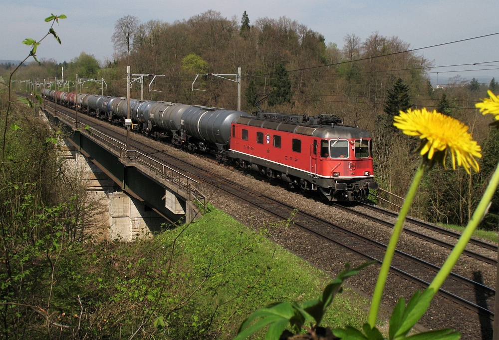 Frühling bei der Reussbrücke