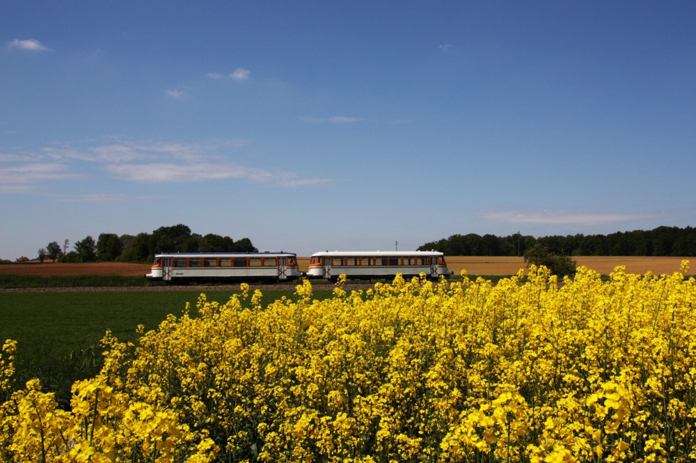 Frühling bei der SWEG