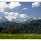 Frühling bei Füssen