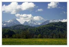 Frühling bei Füssen