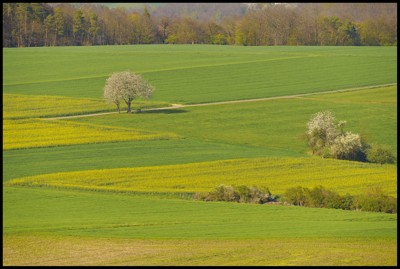 Frühling bei Hemfurth-Edersee - 19.04.2019