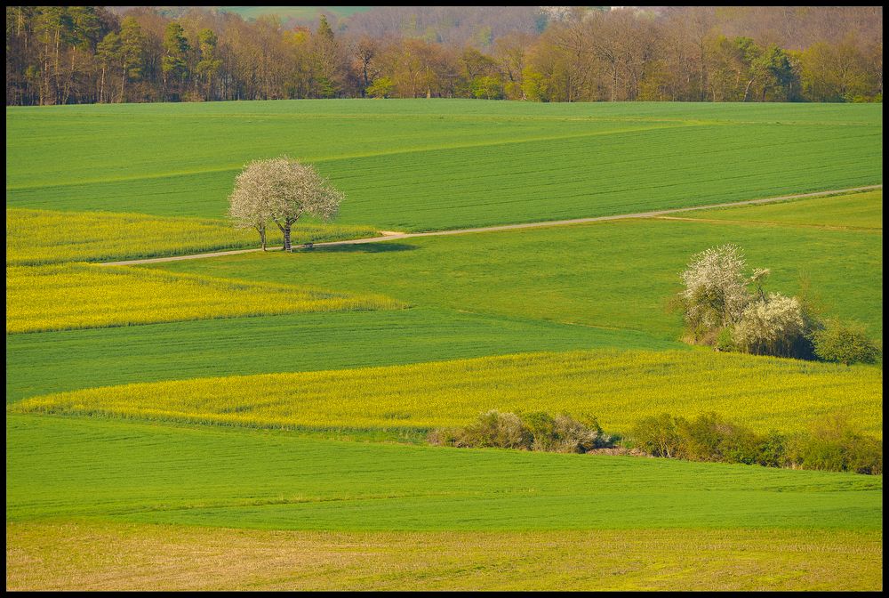 Frühling bei Hemfurth-Edersee - 19.04.2019