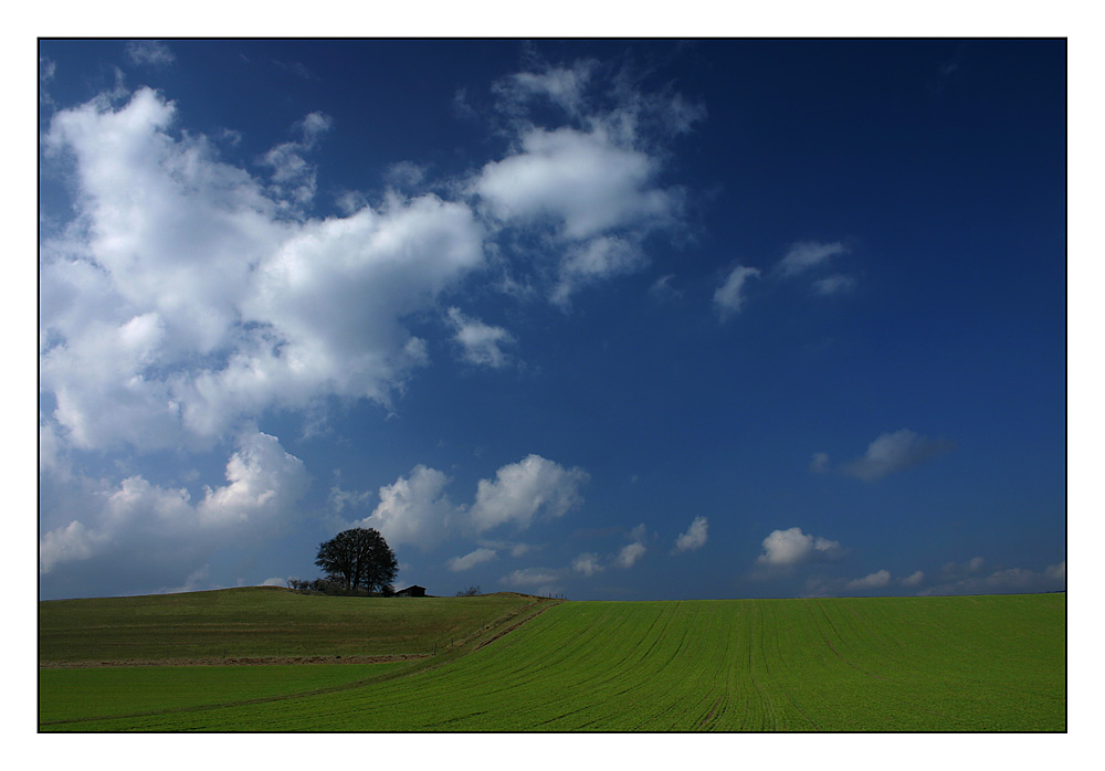 Frühling bei Korbach