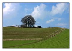 Frühling bei Korbach II