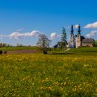 Frühling bei Maria-Bühel