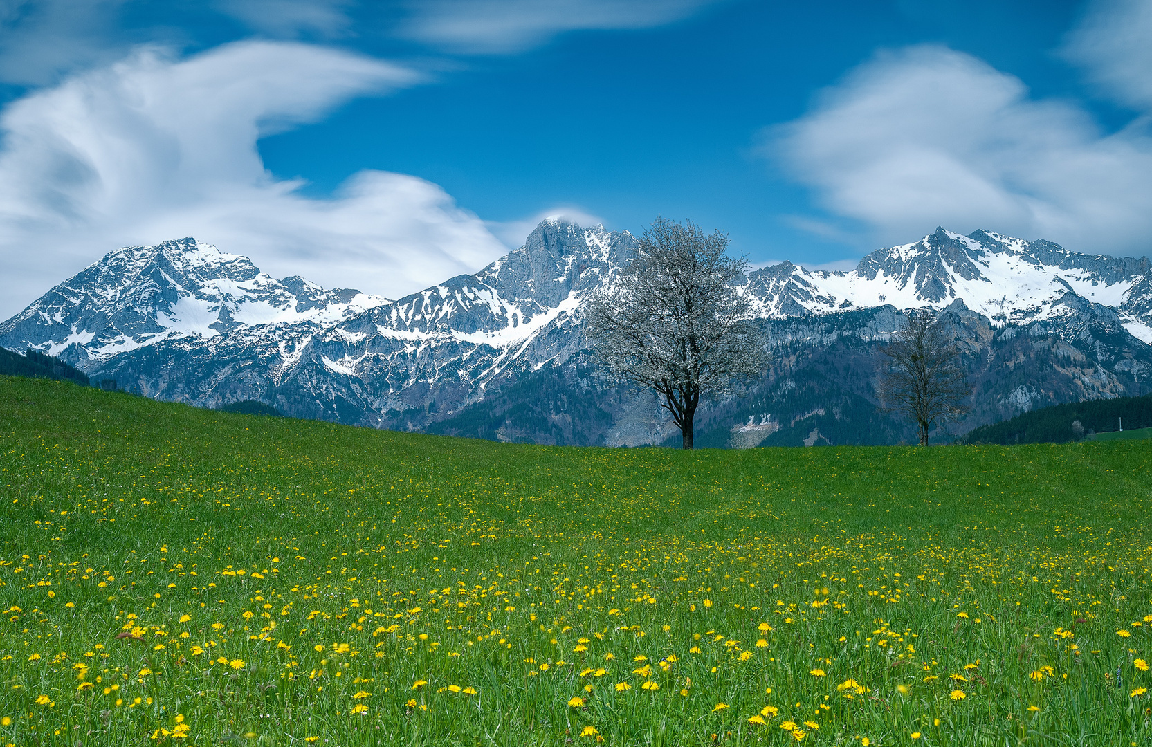 Frühling bei mir....