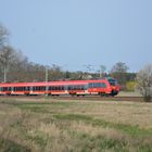 Frühling bei Pramsdorf -1