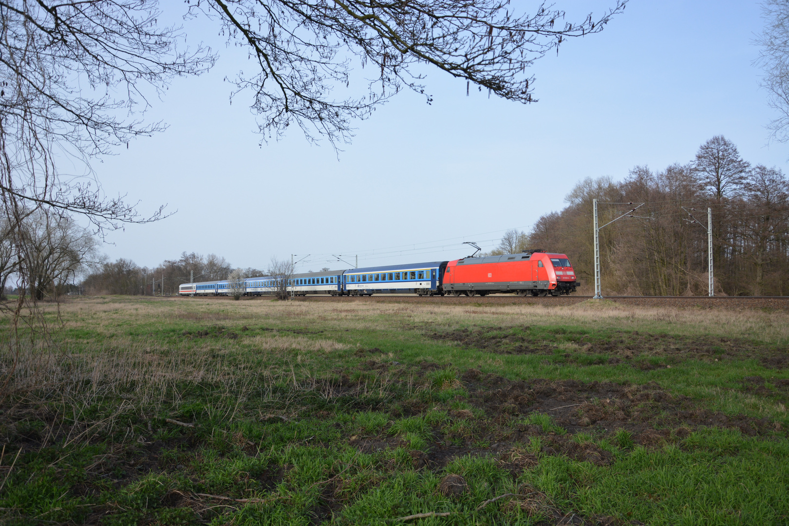 Frühling bei Pramsdorf -2