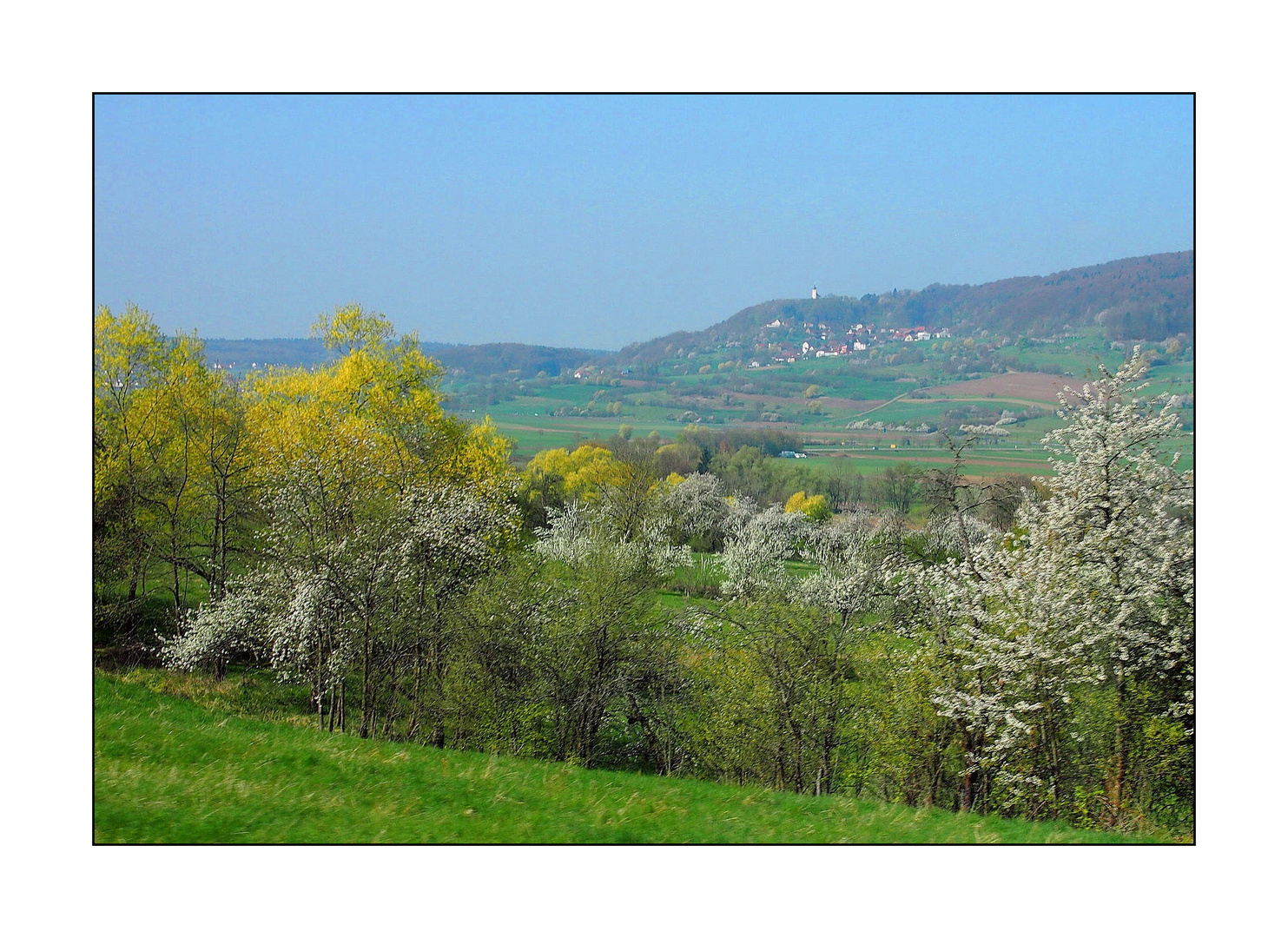 Frühling bei Pretzfeld