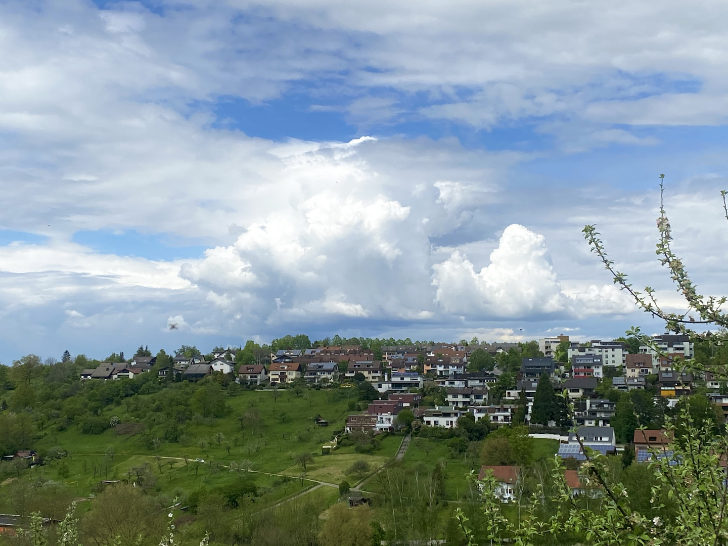 Frühling bei  Regenwolken , Sonne und Wind 