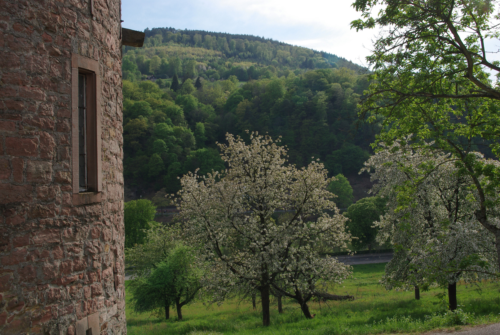 Frühling bei Stift Neuburg