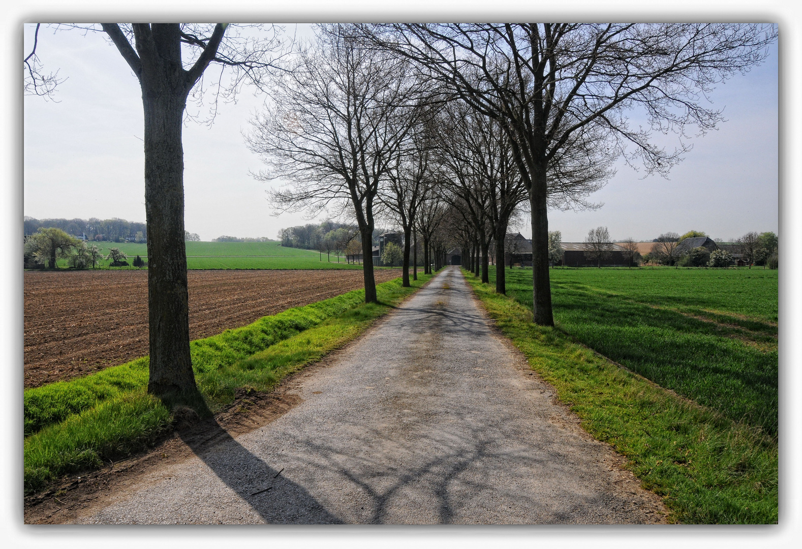 Frühling bei uns auf dem Land