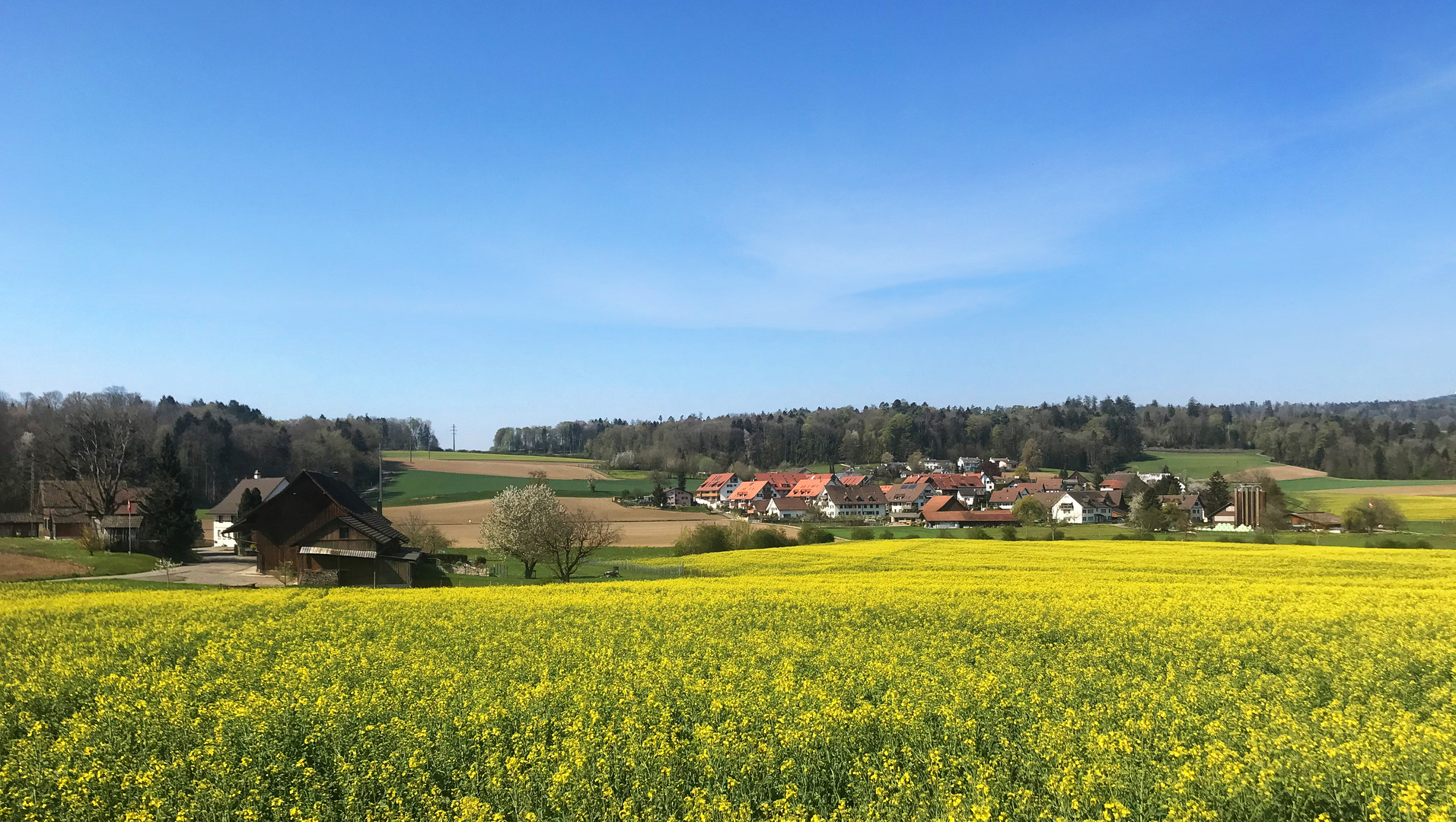 Frühling bei uns .. 