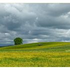 Frühling bei uns um die Ecke