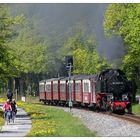 Frühling beim Molli