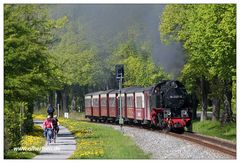 Frühling beim Molli