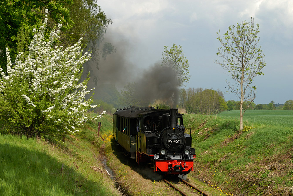 Frühling beim Pollo