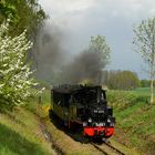 Frühling beim Pollo