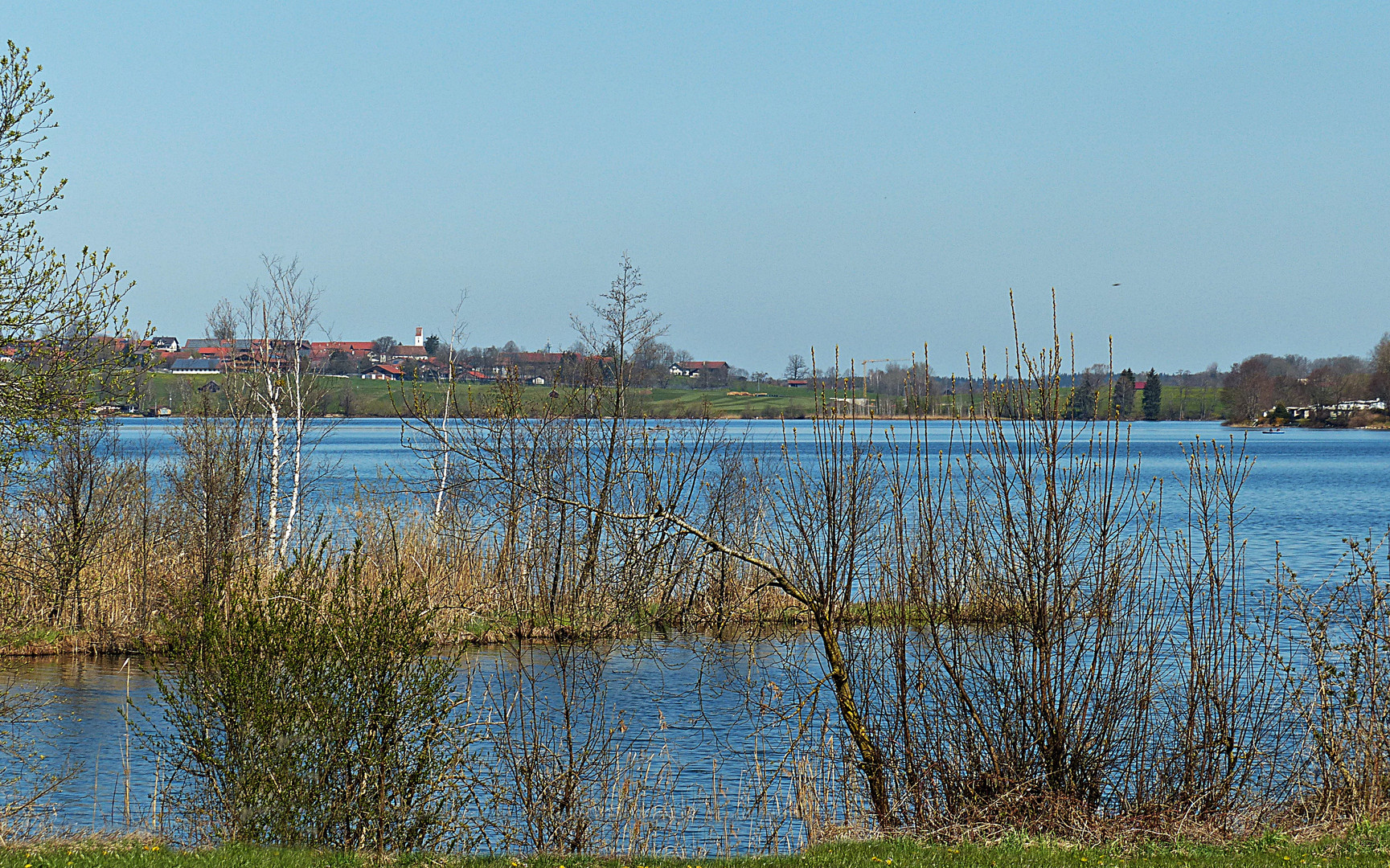 Frühling beim Rieggsee