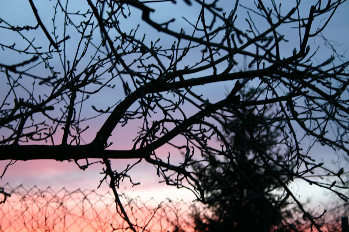 Frühling beim Sonnenuntergang