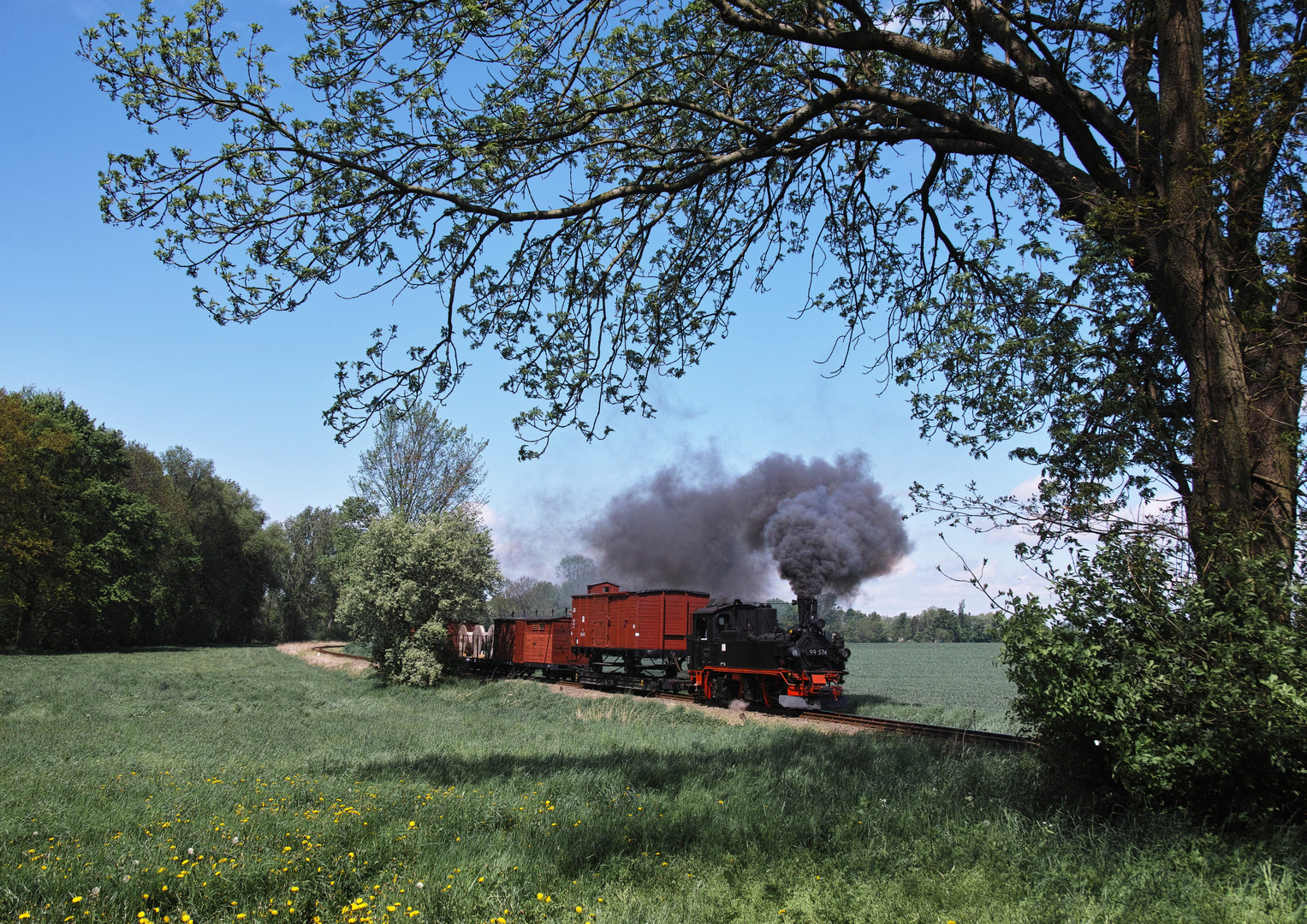 Frühling beim "Wilden Robert" ...