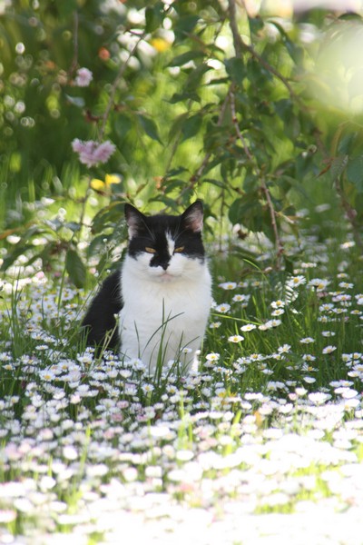 Frühling........