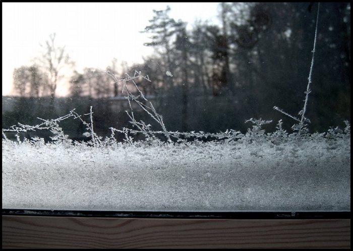 Frühling..... Bist du es wirklich?