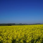 Frühling-Blau-Gelb