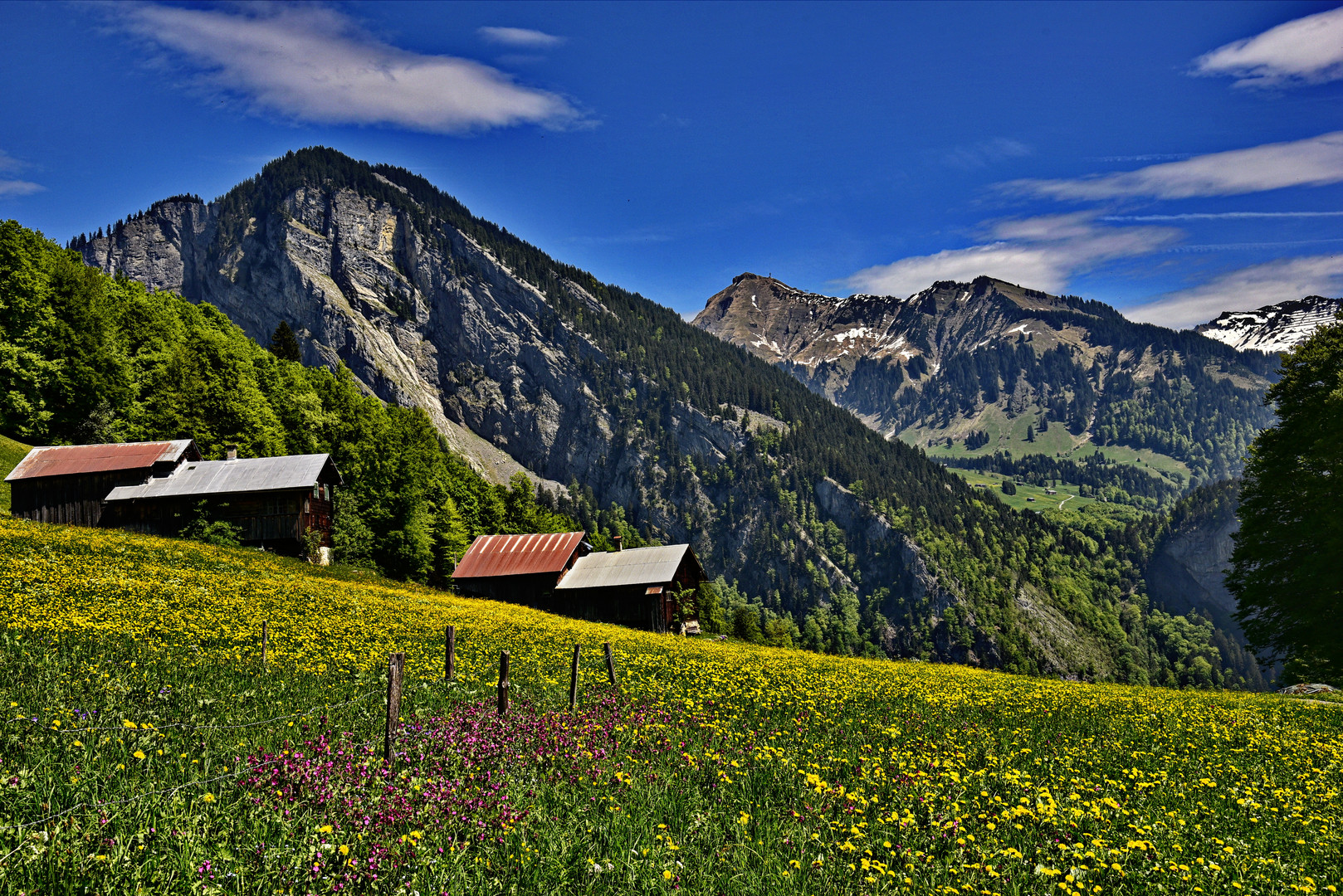 Frühling Bregenzerwald 