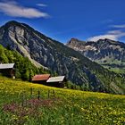 Frühling Bregenzerwald 