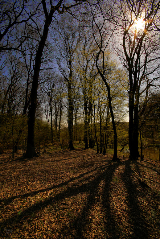 Frühling