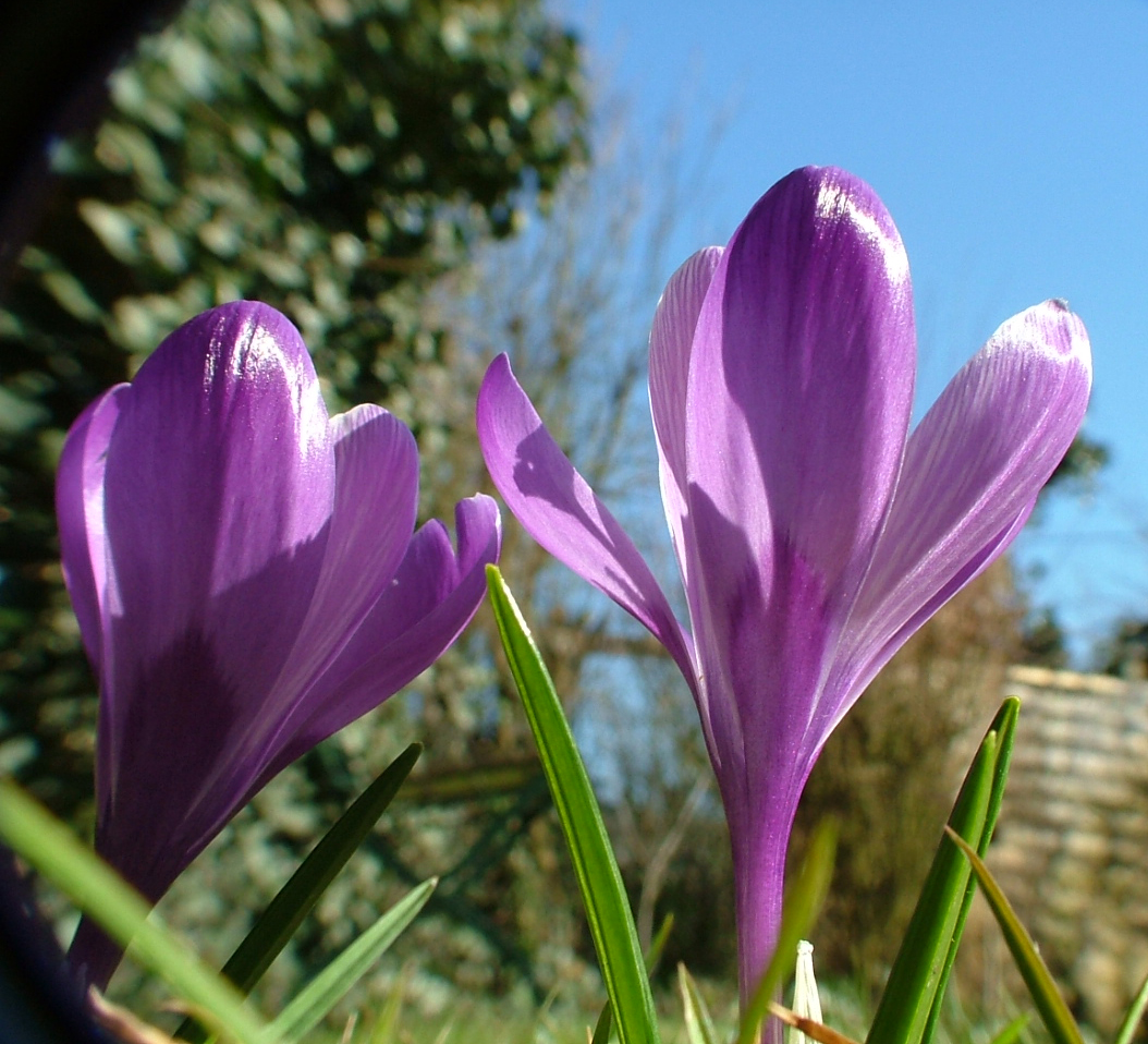 Frühling