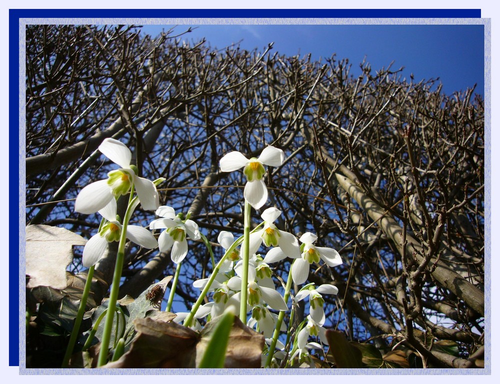 Frühling