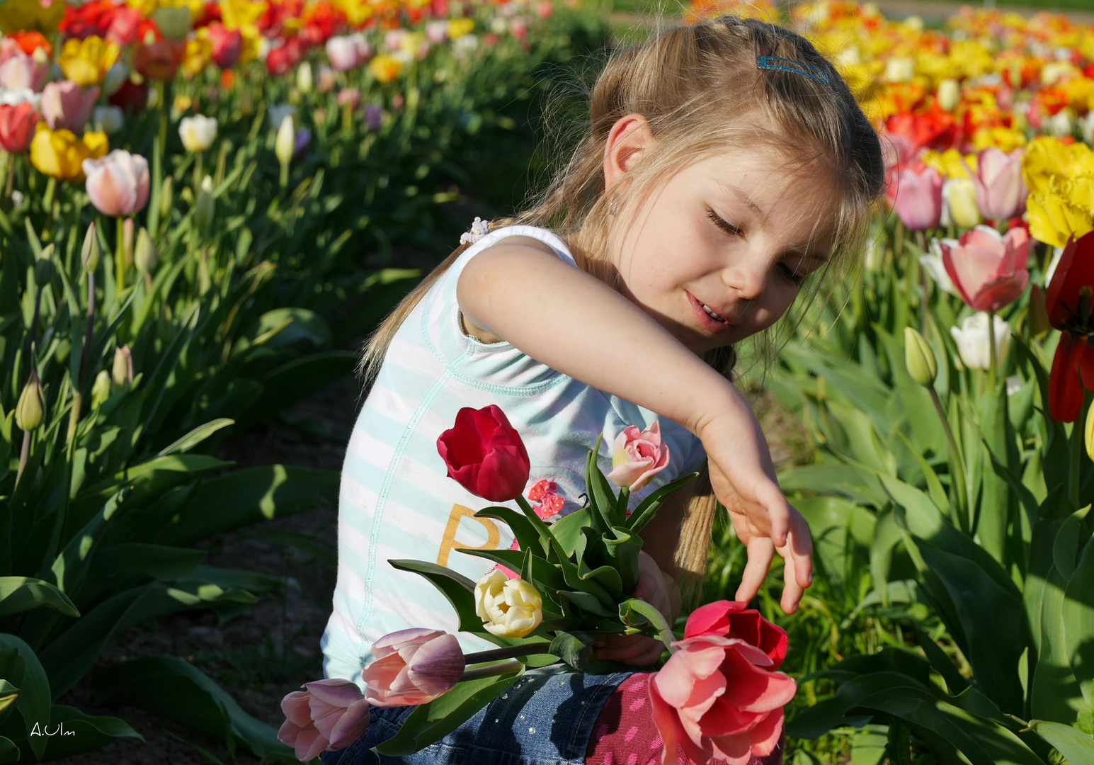 "Frühling "