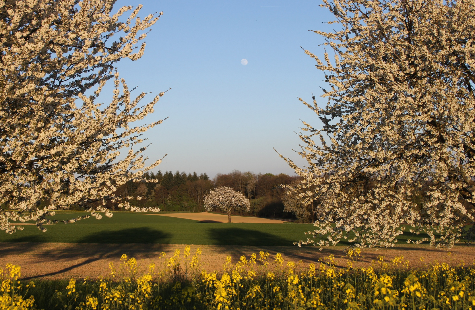 Frühling