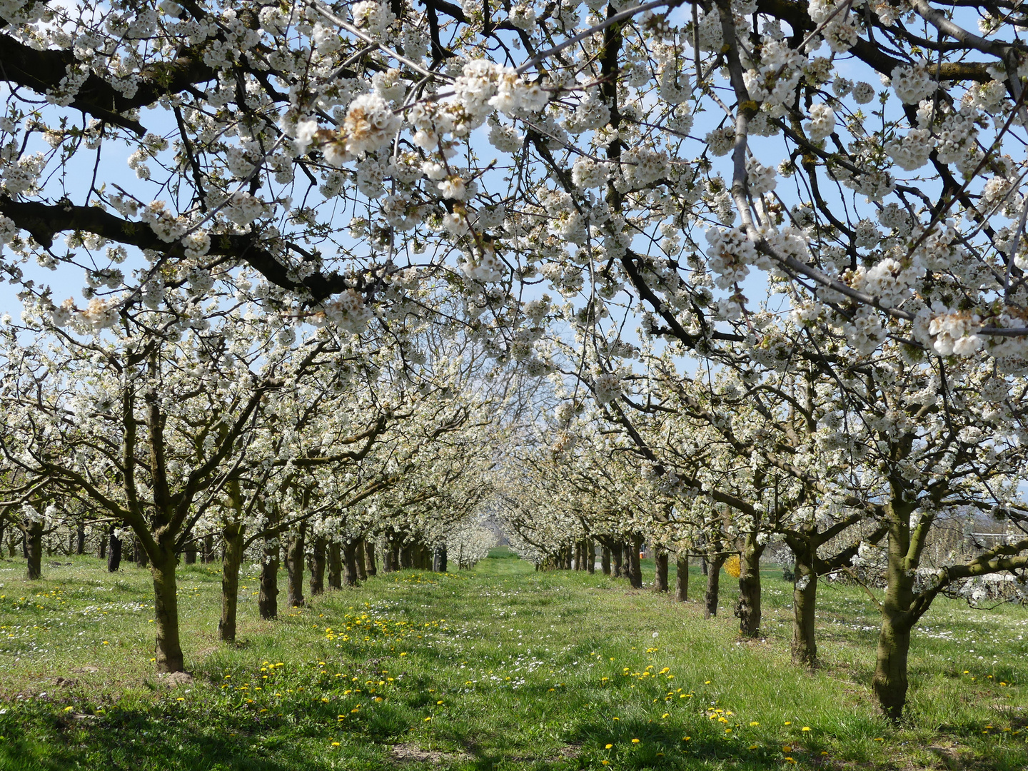 Frühling