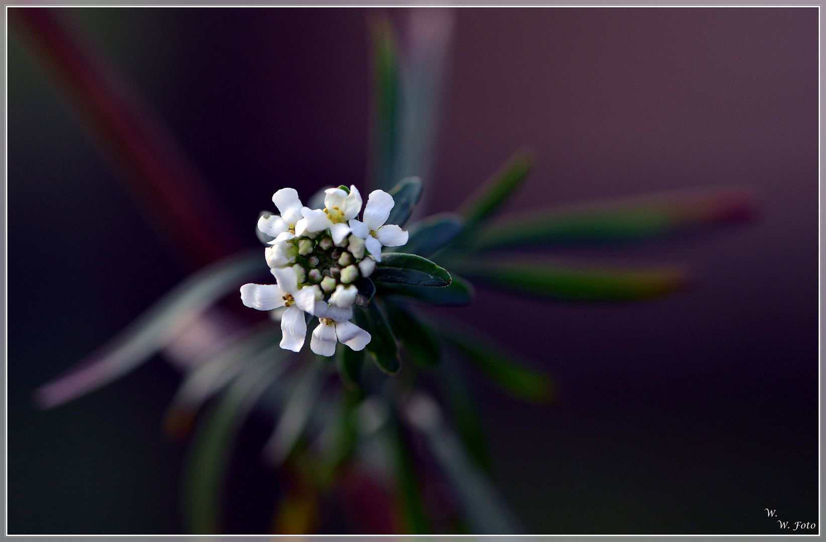 Frühling