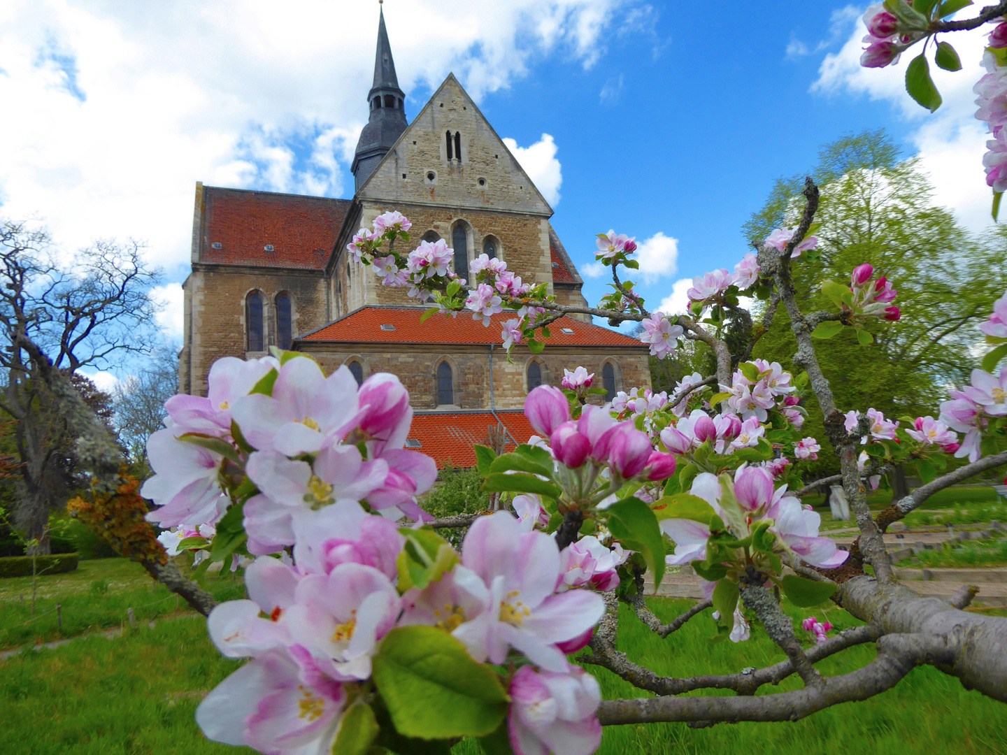 Frühling...