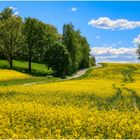 *** Frühling ***
