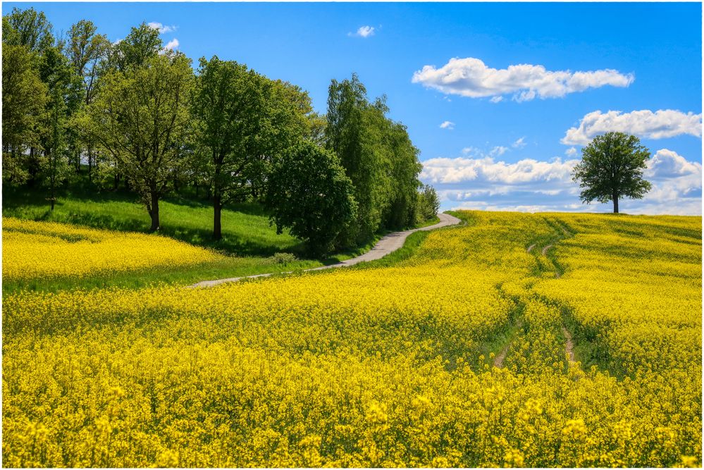 *** Frühling ***