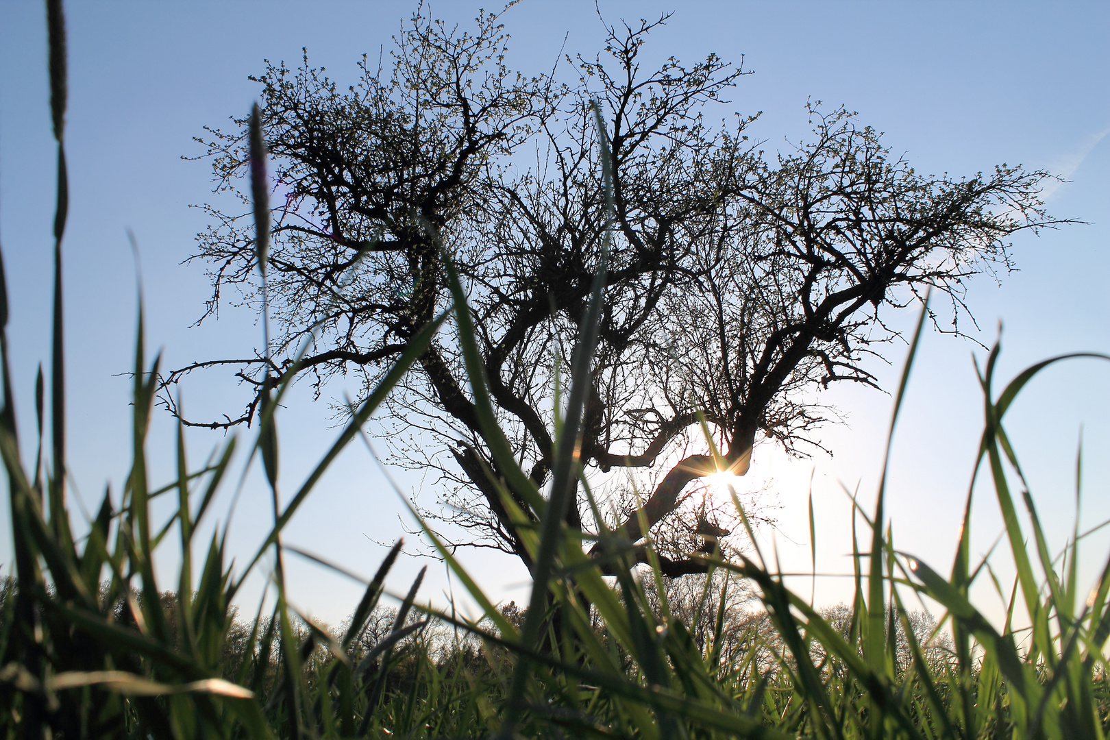 Frühling