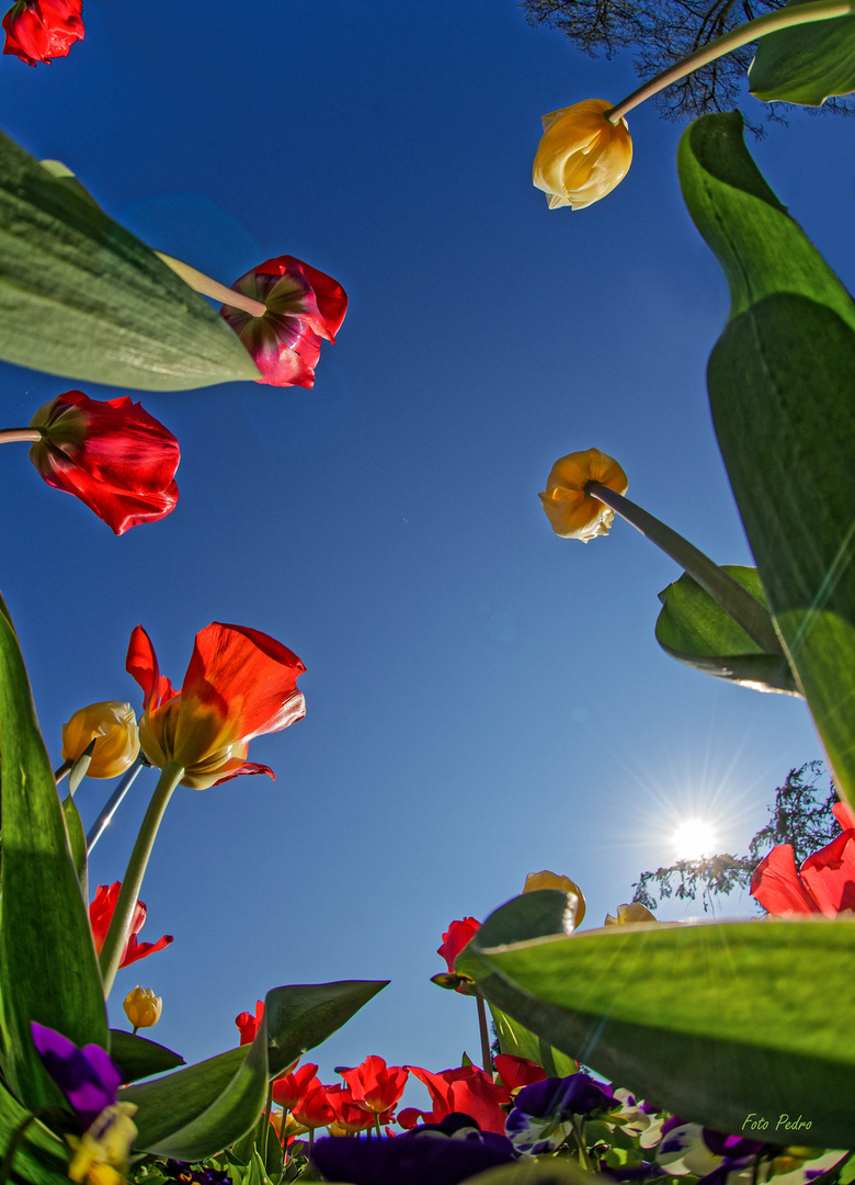 Frühling