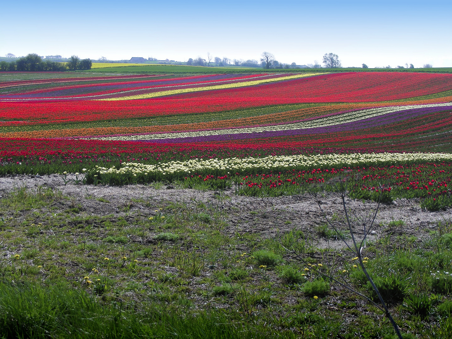 Frühling