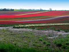 Frühling