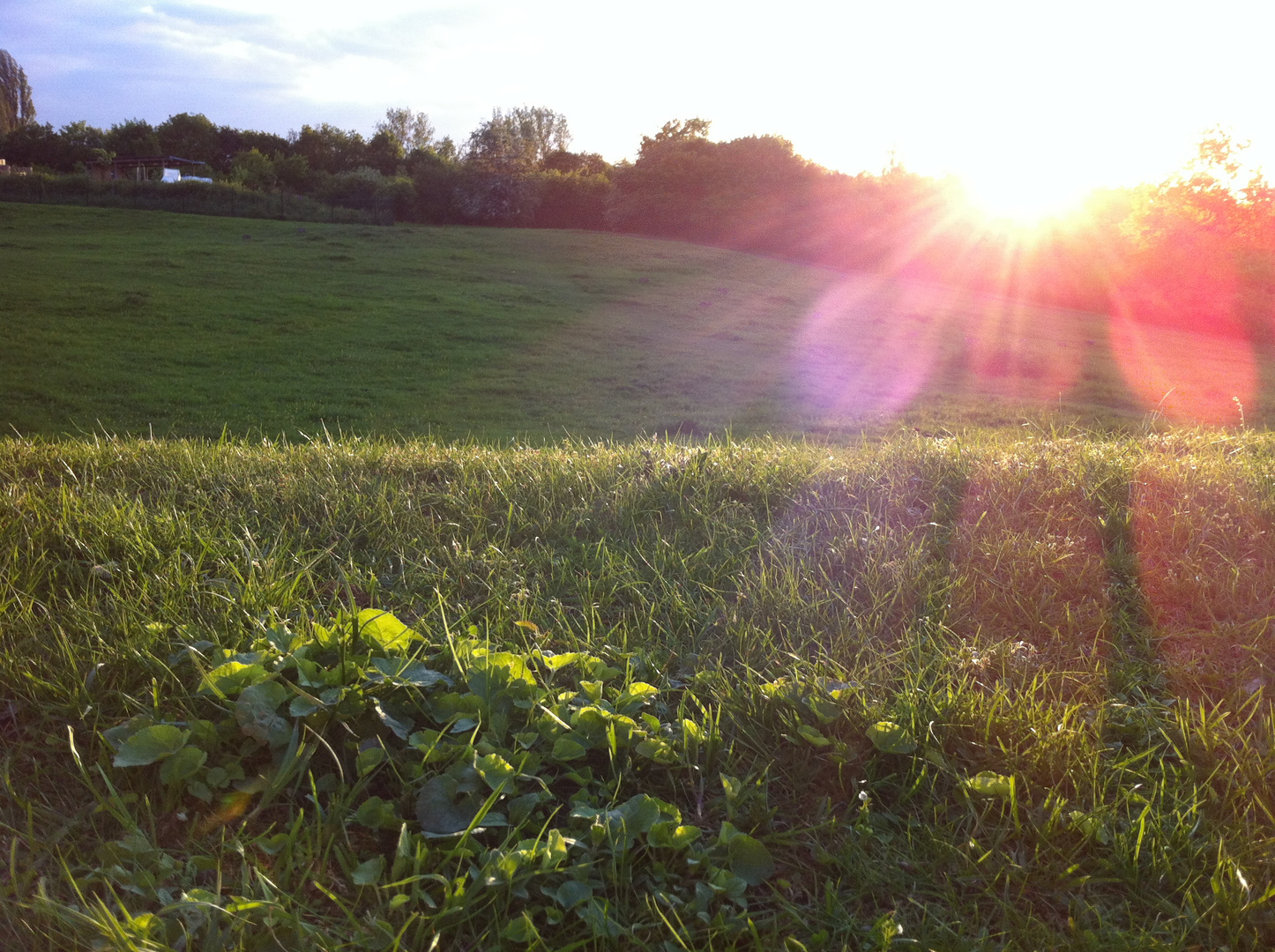 frühling