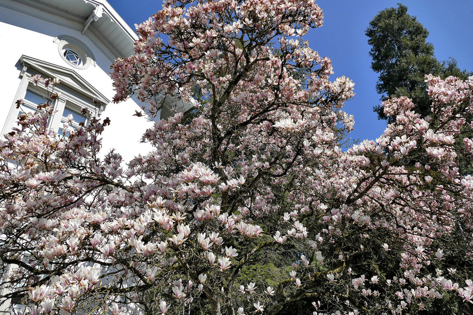 Frühling